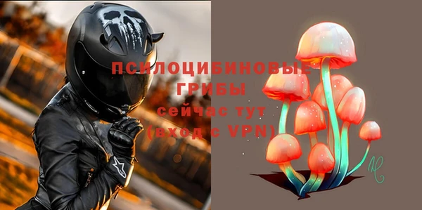 сатива Слюдянка