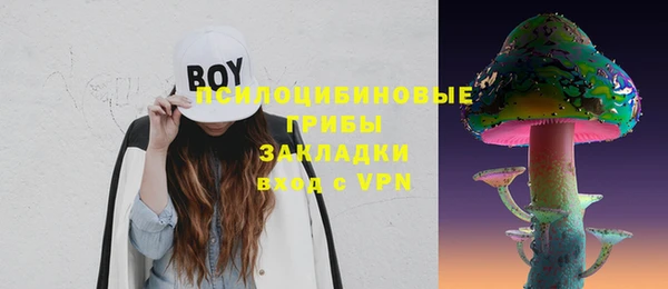 сатива Слюдянка