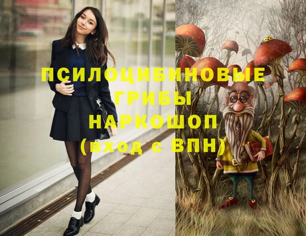 сатива Слюдянка