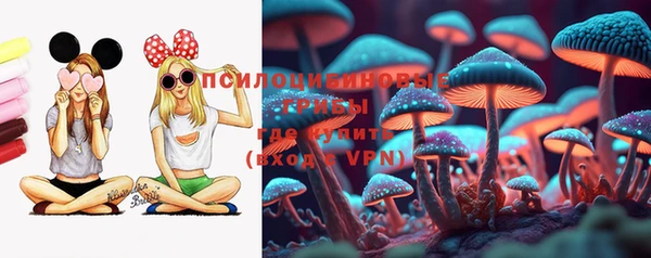 метадон Снежногорск